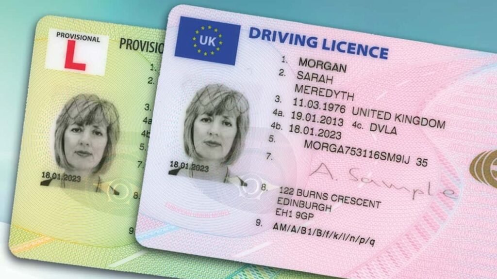 Driver License