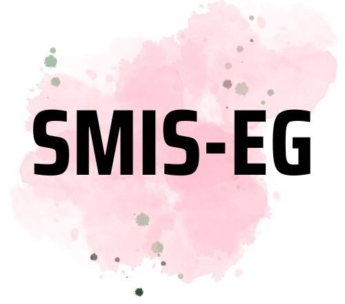smis-eg.com